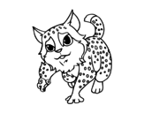 Desenho de Gato-montês para colorear
