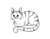 Desenho de Gato novo para colorear