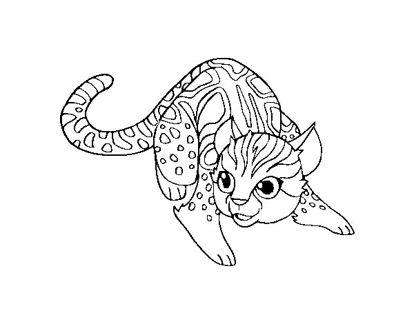 Desenho de Gato selvagem africano para Colorir