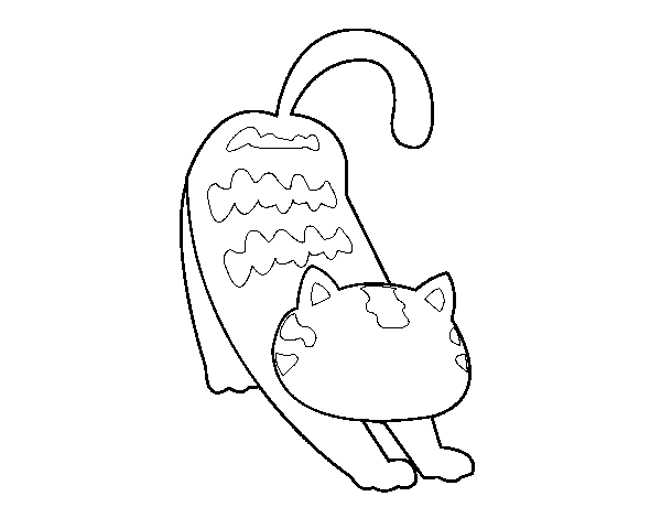 Desenho de Gato vadio para Colorir