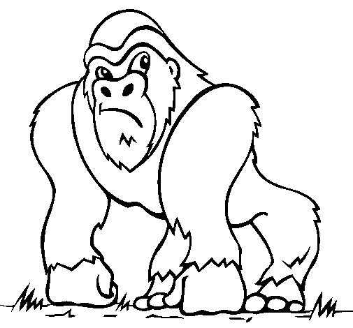 Desenho de Gorila para Colorir