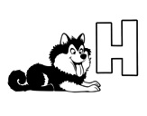 Desenho de H de Husky para colorear