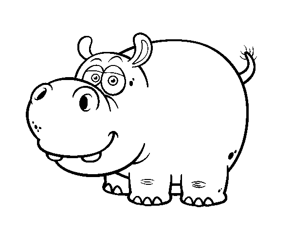 Desenho de Hipopótamo-comum para Colorir