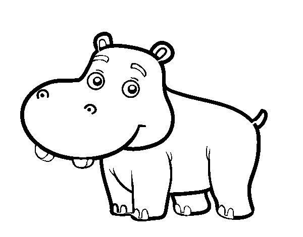 Desenho de Hipopótamo jovem para Colorir