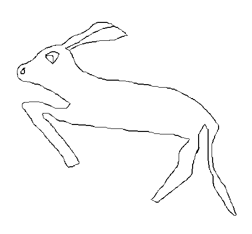 Desenho de Lebre para Colorir