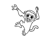 Desenho de Macaco-prego bebê para colorear