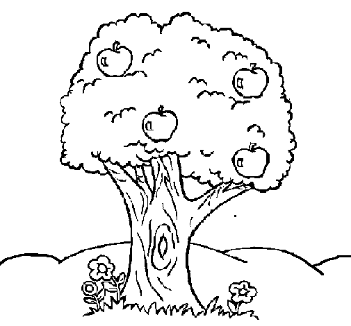 Desenho de Macieira  para Colorir