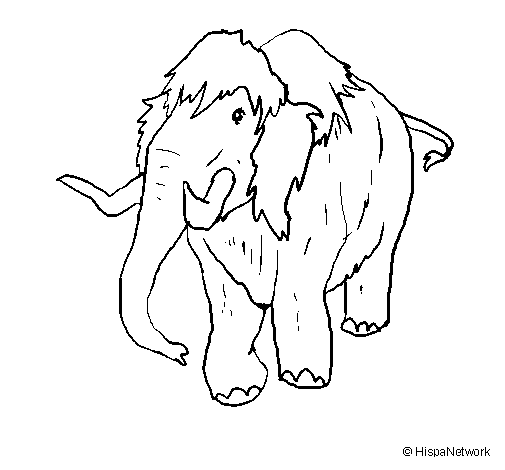 Desenho de Mamute II para Colorir