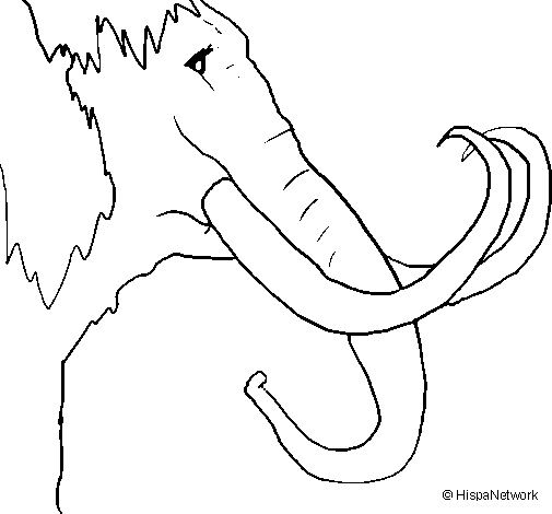 Desenho de Mamute para Colorir