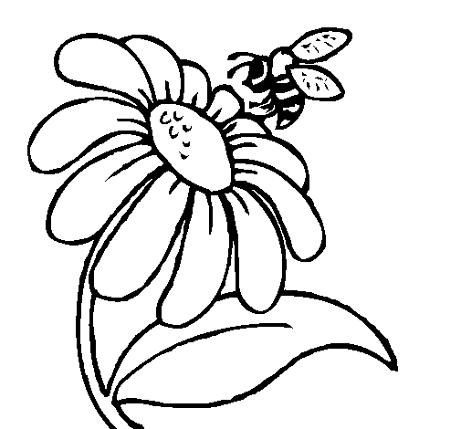Desenho de Margarida com abelha para Colorir