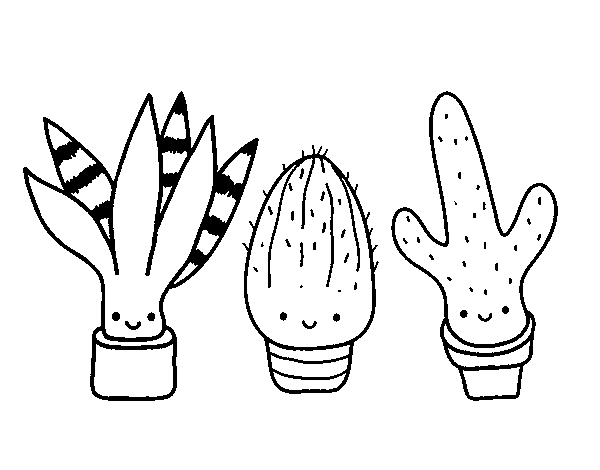 Desenho de Mini cactus para Colorir