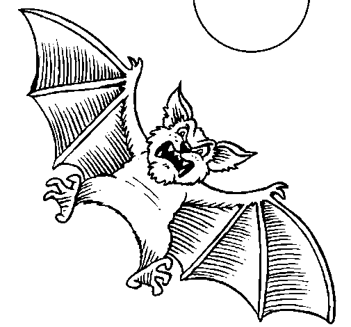 Desenho de Morcego cão para Colorir