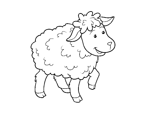 Desenho de Ovelha comum para Colorir
