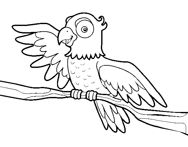 Desenho de Papagaio en liberdade para Colorir