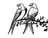 Desenho de Par de pássaros para colorear