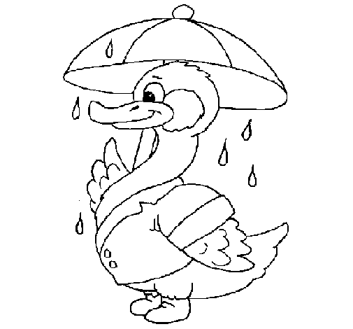 Desenho de Pato sob a chuva para Colorir