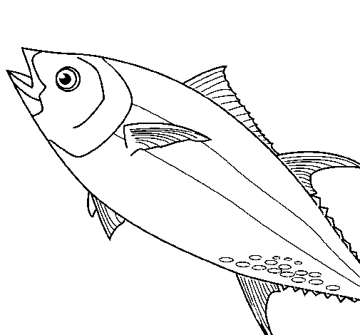 Desenho de Peixe 5 para Colorir