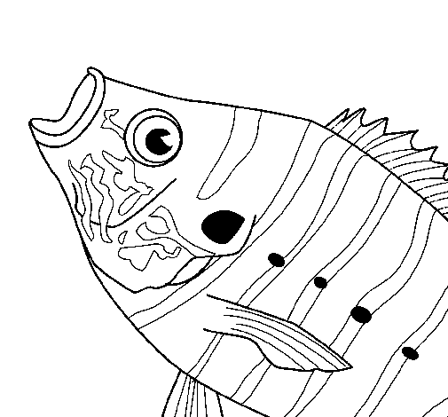 Desenho de Peixe 7 para Colorir