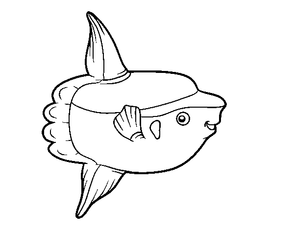 Desenho de Peixe-lua para Colorir