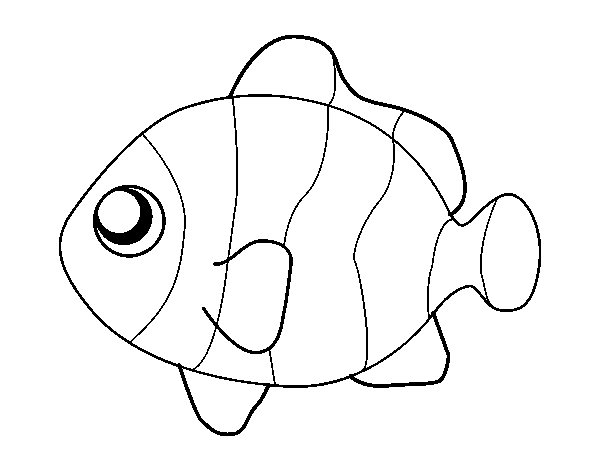 Desenho de Peixe-palhaço para Colorir