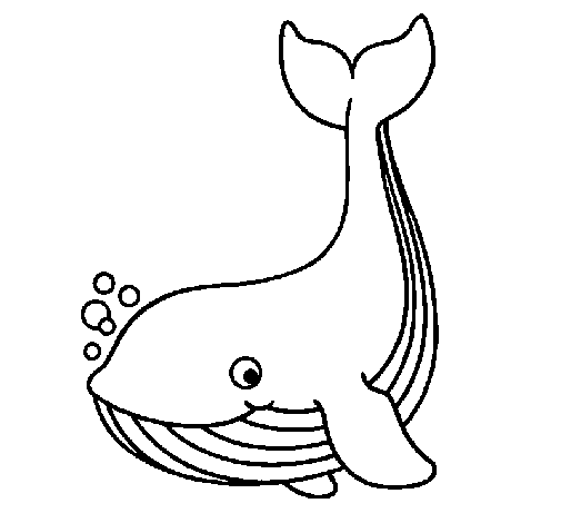 Desenho de Pequena baleia para Colorir