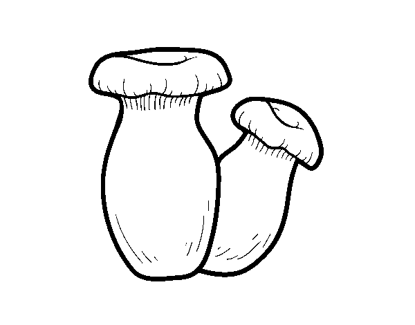 Desenho de Pleurotus eryngii para Colorir