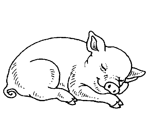 Desenho de Porco a dormir para Colorir