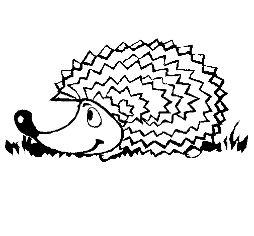 Desenho de Porco-espinho para Colorir