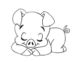 Desenho de Porco pequeno a dormir para colorear