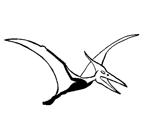 Desenho de Pterodáctilo para Colorir