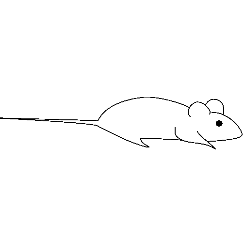 Desenho de Rata para Colorir