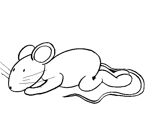 Desenho de Ratita para Colorir