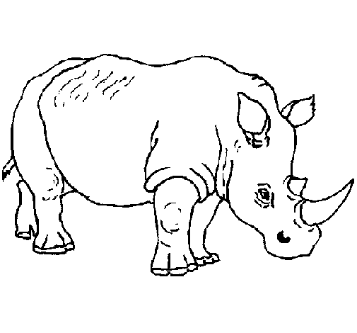 Desenho de Rinoceronte 3 para Colorir