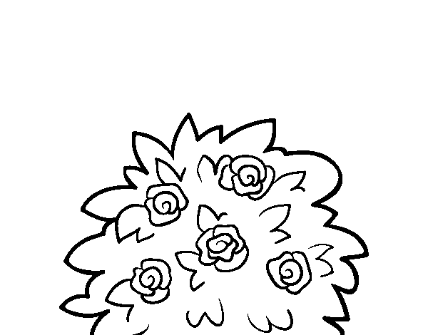 Desenho de Rosa-canina para Colorir