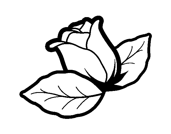Desenho de Rosa com folhas para Colorir