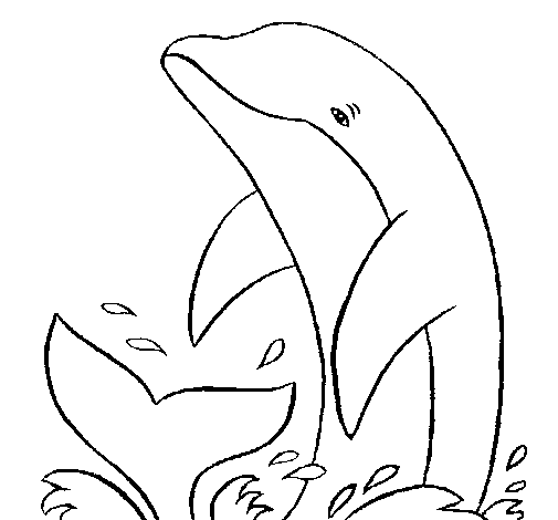 Desenho de Salpicos golfinho para Colorir