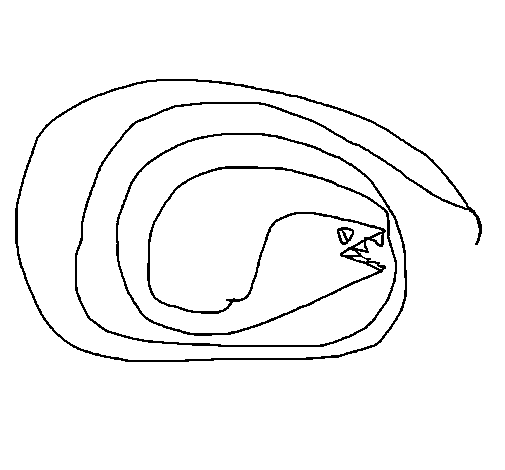 Desenho de Serpente 2 para Colorir