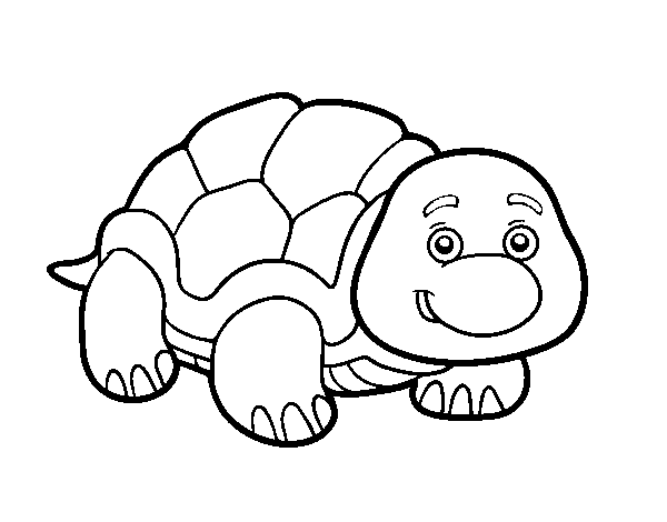 Desenho de Tartaruga de terra para Colorir