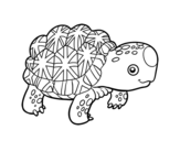 Desenho de Tartaruga estrelada indiana para colorear