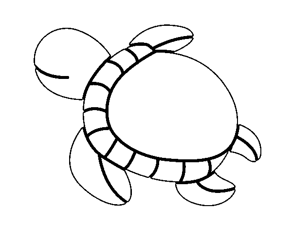 Desenho de Tartaruga nadando para Colorir