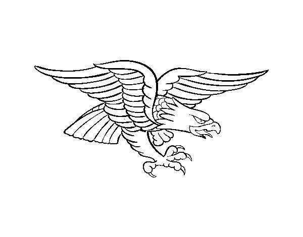 Desenho de Tatuagem de águia para Colorir