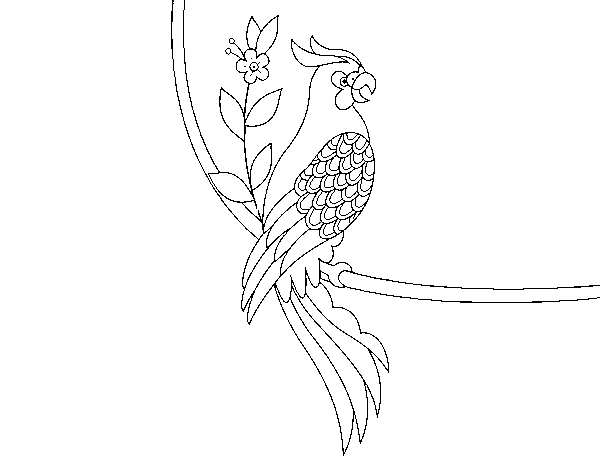 Desenho de Tatuagem de papagaio para Colorir
