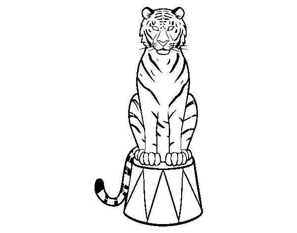 Desenho de Tigre do circo para Colorir