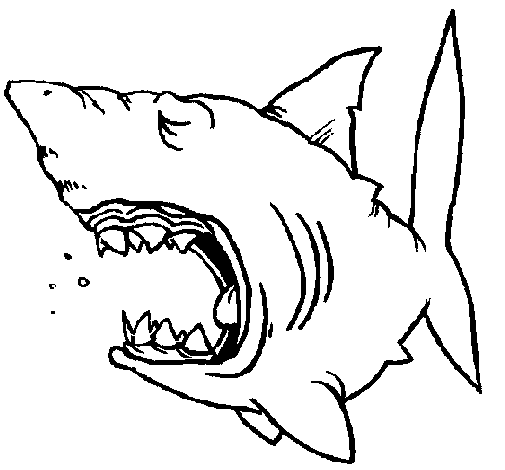 Desenho de Tubarão para Colorir