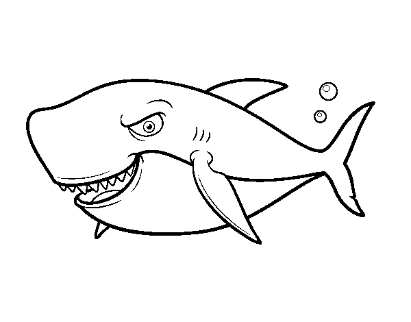 Desenho de Tubarão dentuço para Colorir