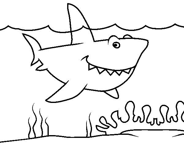 Desenho de Tubarão marinho para Colorir