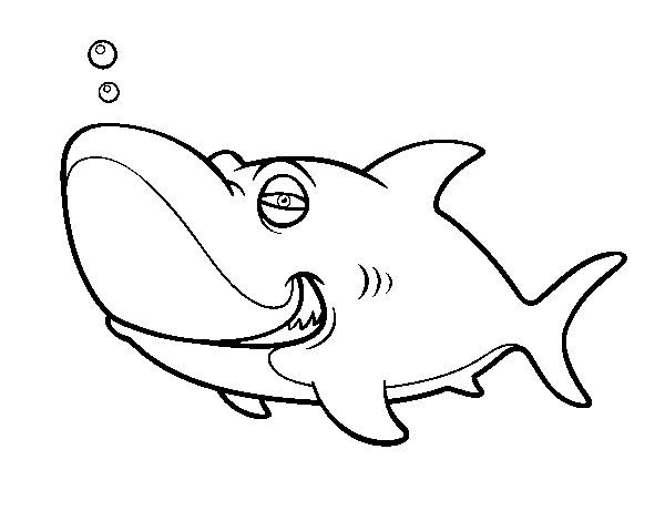 Desenho de Tubarão-tigre para Colorir