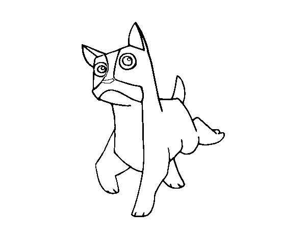 Desenho de Um cão Boxer para Colorir