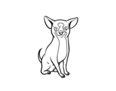 Desenho de Um cão chihuahua para colorear