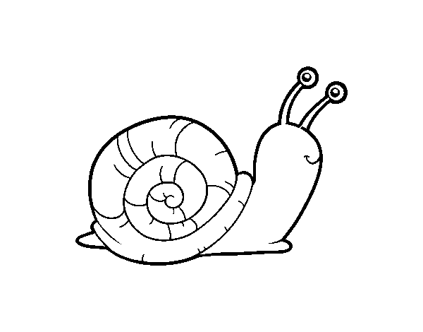 Desenho de Um caracol para Colorir